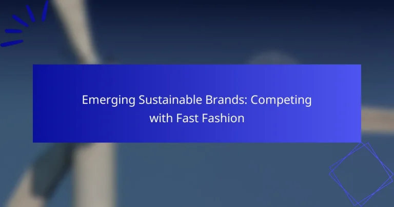 Emerging Sustainable Brands: Competing with Fast Fashion