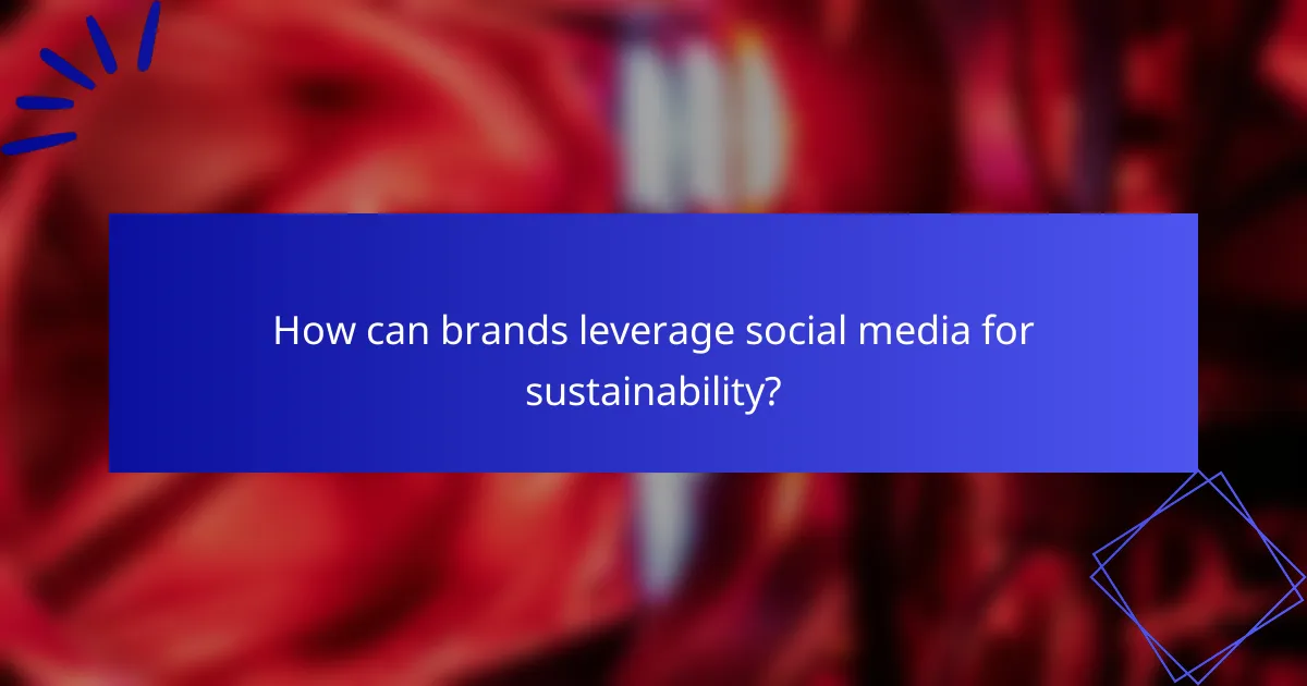 How can brands leverage social media for sustainability?