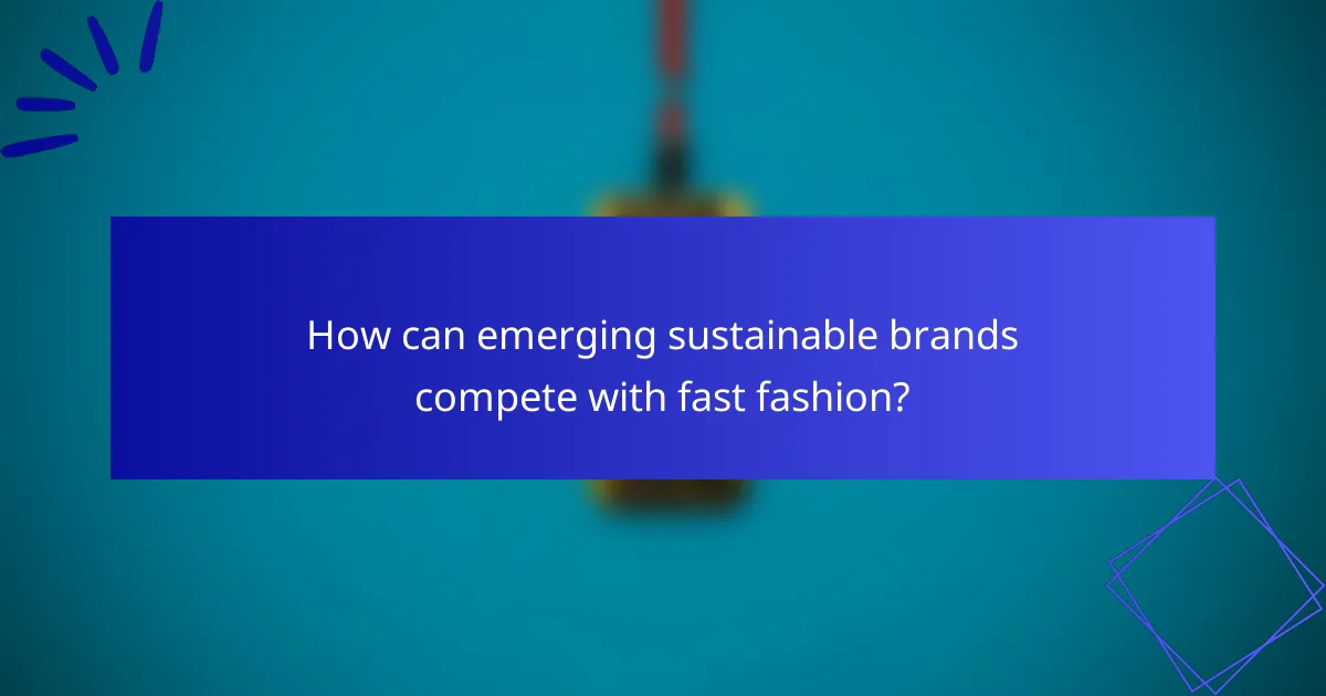 How can emerging sustainable brands compete with fast fashion?