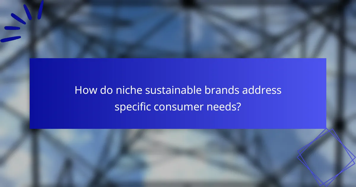 How do niche sustainable brands address specific consumer needs?