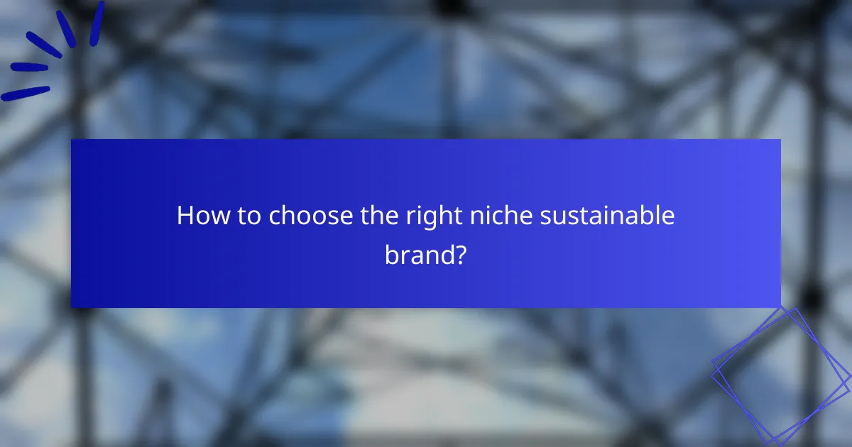 How to choose the right niche sustainable brand?