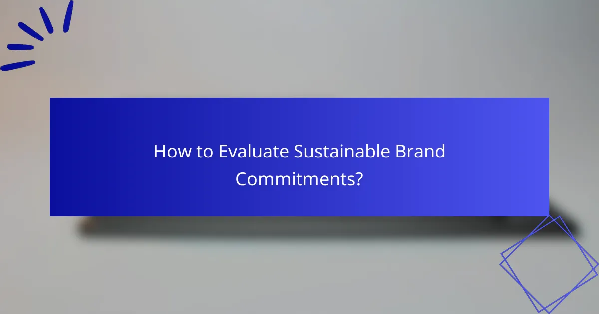How to Evaluate Sustainable Brand Commitments?