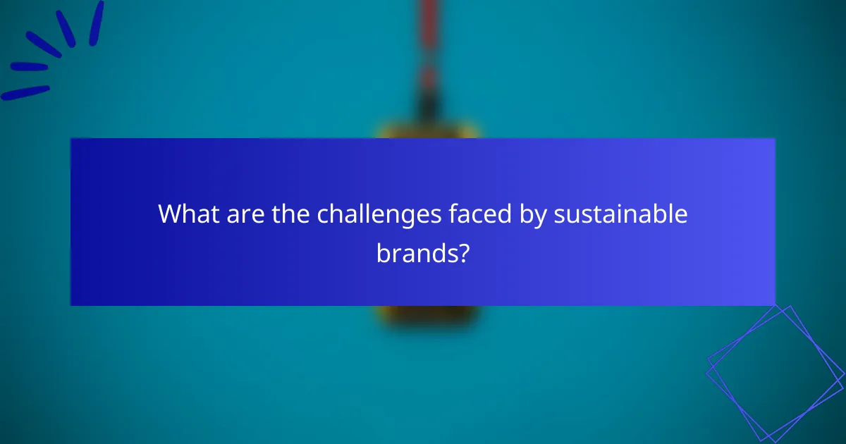 What are the challenges faced by sustainable brands?