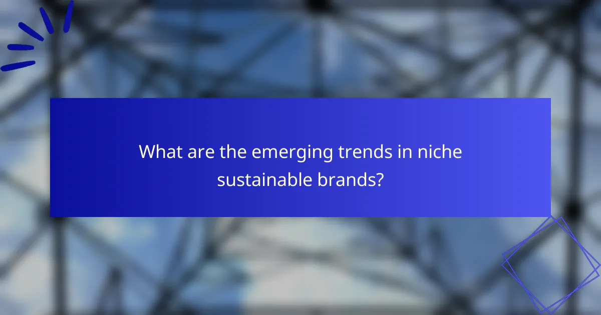 What are the emerging trends in niche sustainable brands?