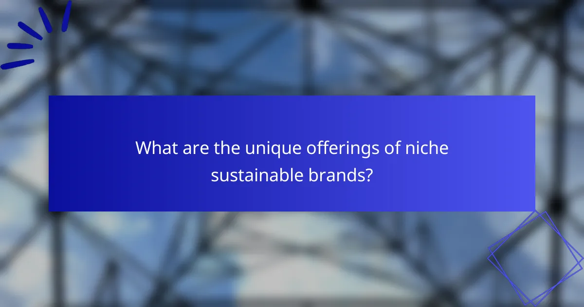 What are the unique offerings of niche sustainable brands?
