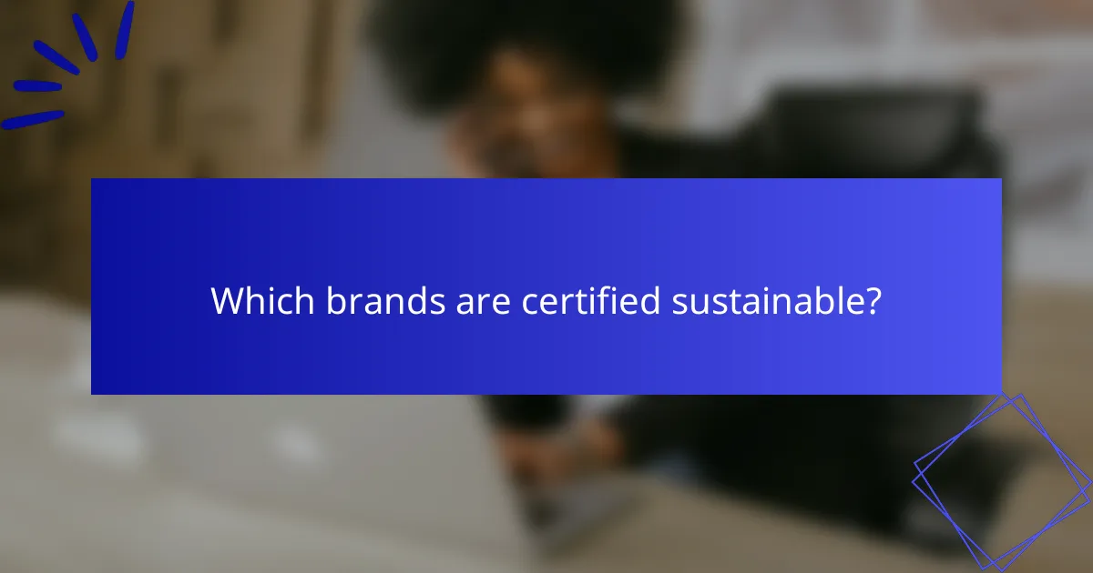 Which brands are certified sustainable?