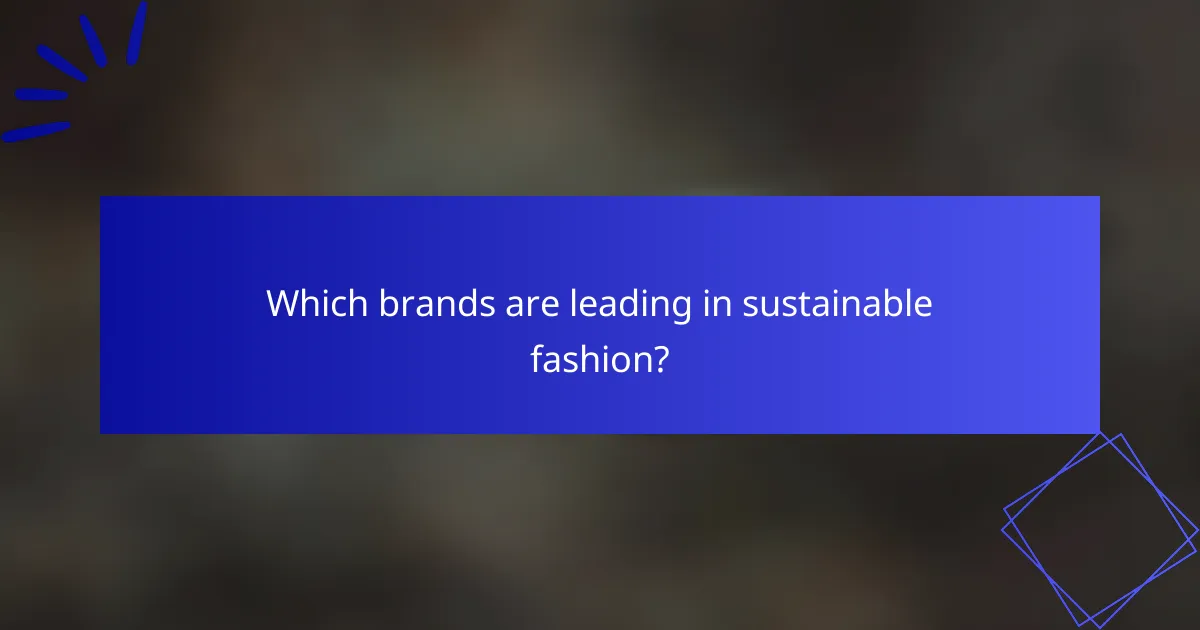 Which brands are leading in sustainable fashion?