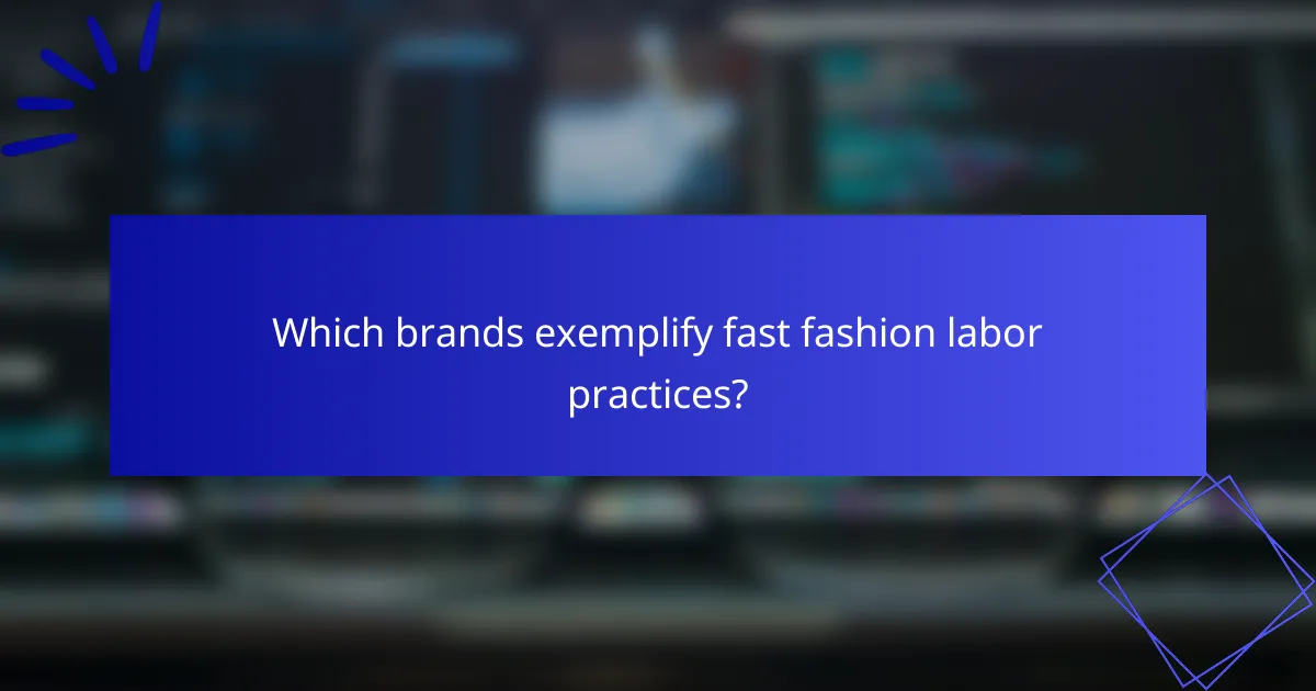 Which brands exemplify fast fashion labor practices?