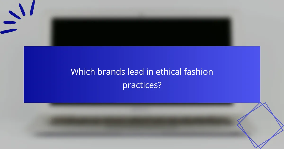 Which brands lead in ethical fashion practices?