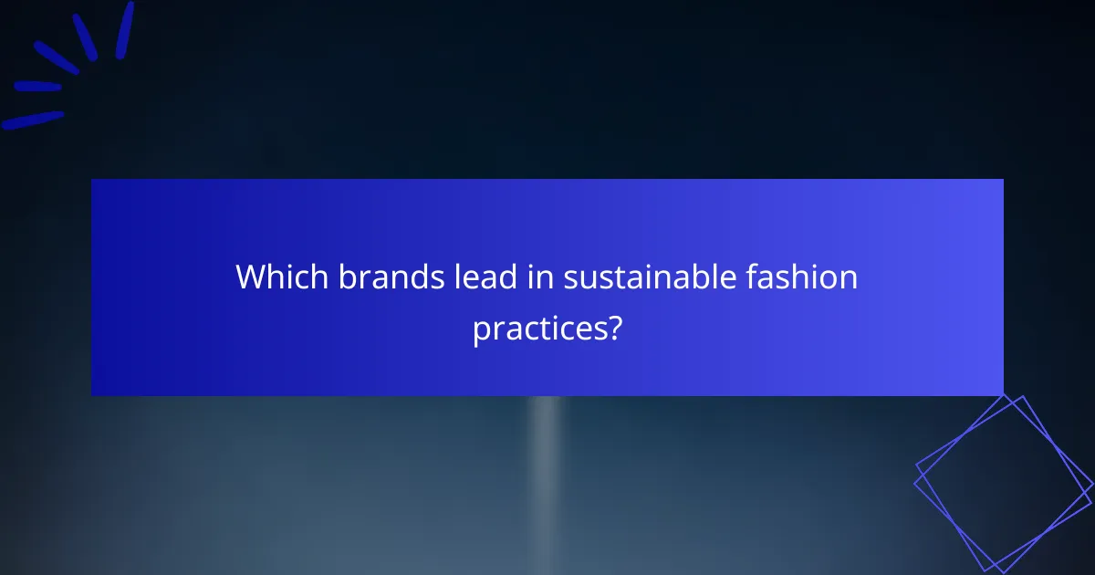 Which brands lead in sustainable fashion practices?