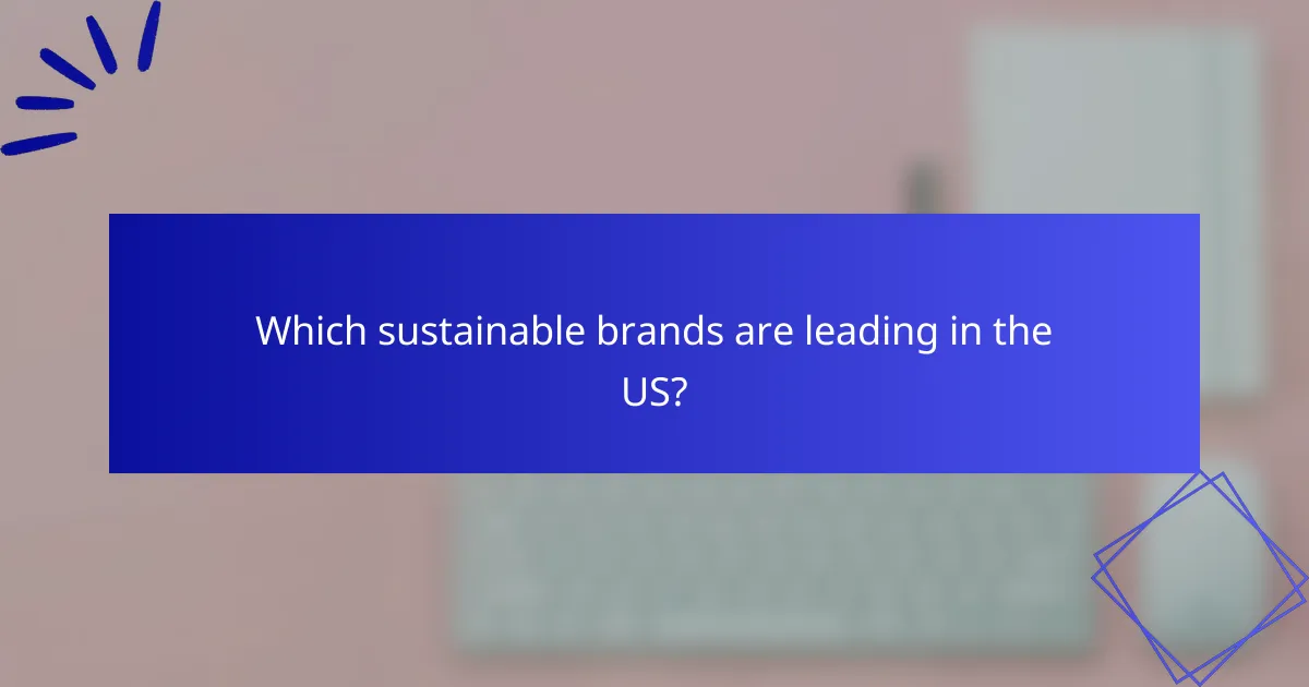 Which sustainable brands are leading in the US?